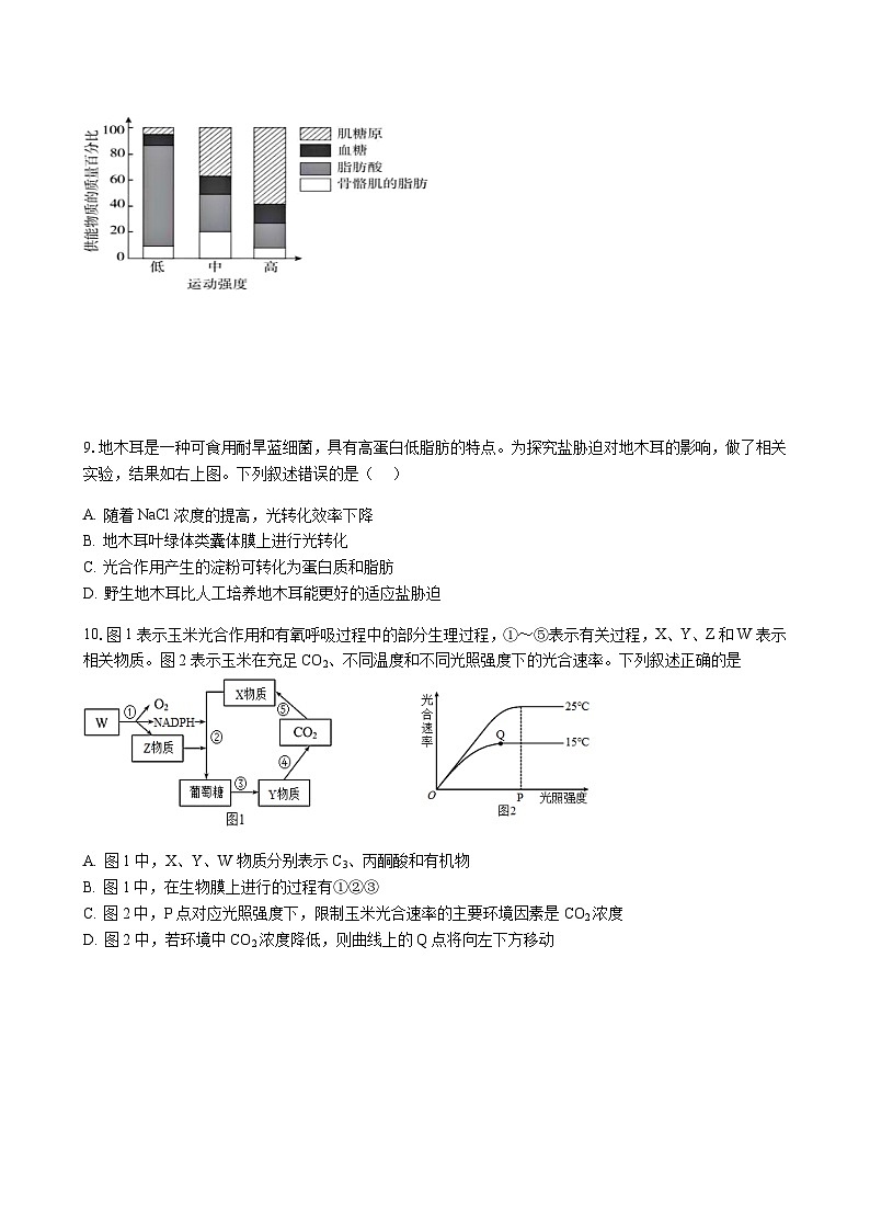 2023-2024学年江西省南昌市三校（南昌市第一中学、南昌市铁路第一中学、南昌市第十中学）高三上学期第一次联考生物含答案第3页