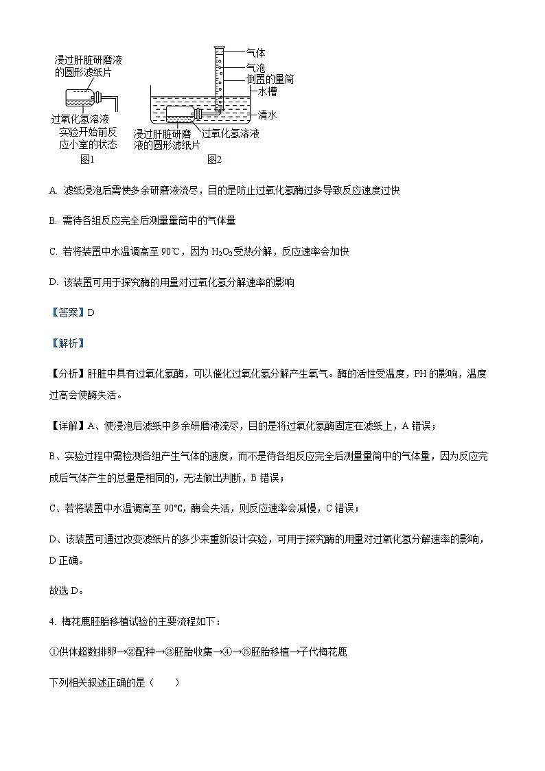 2023-2024学年浙江省天域全国名校协作体高三10月联考生物试题含解析03