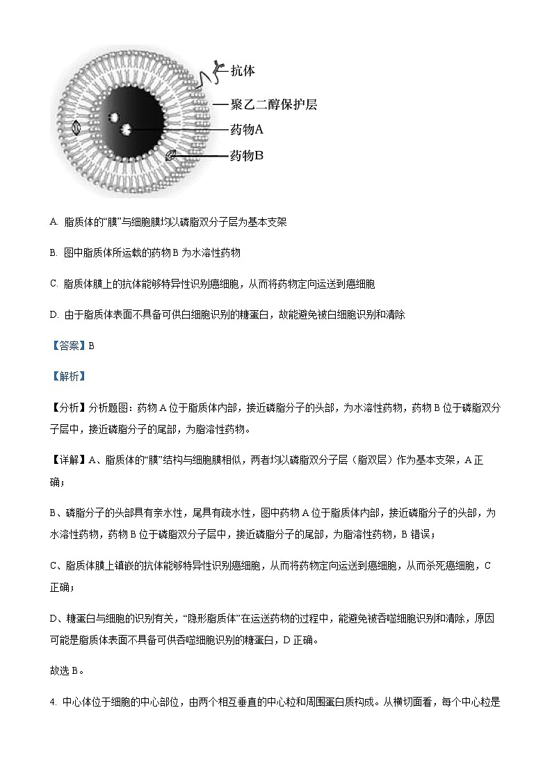 2023-2024学年重庆市铜梁一中等三校高三上学期10月联考生物试题含解析03