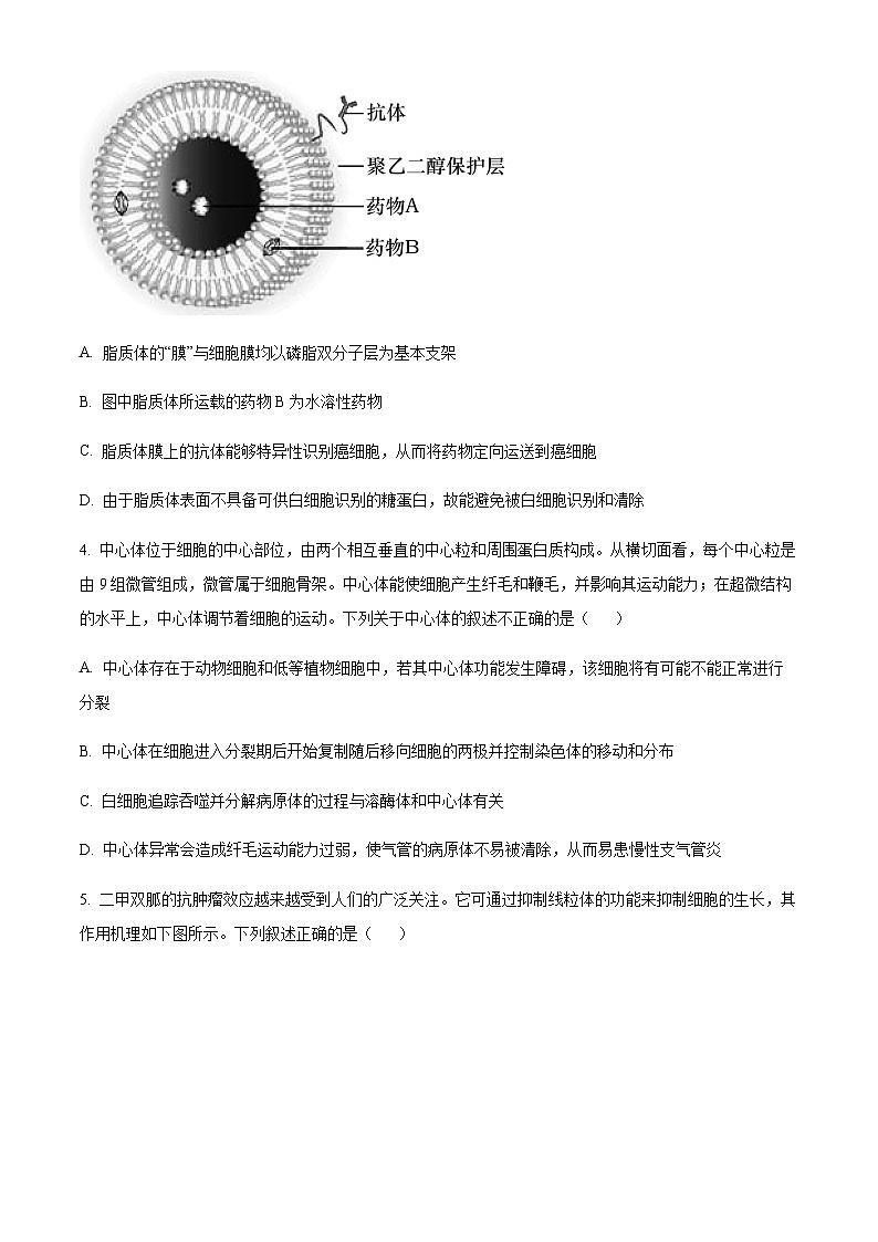 2023-2024学年重庆市铜梁一中等三校高三上学期10月联考生物试题含解析02