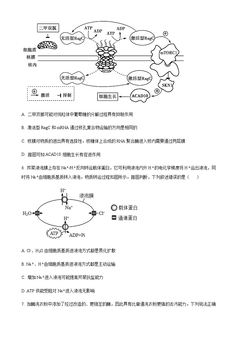 2023-2024学年重庆市铜梁一中等三校高三上学期10月联考生物试题含解析03