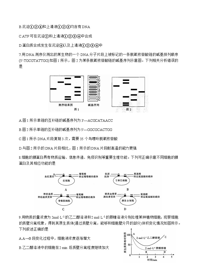 2024届山东省实验中学部分学校高三上学期10月联考生物word版含答案03