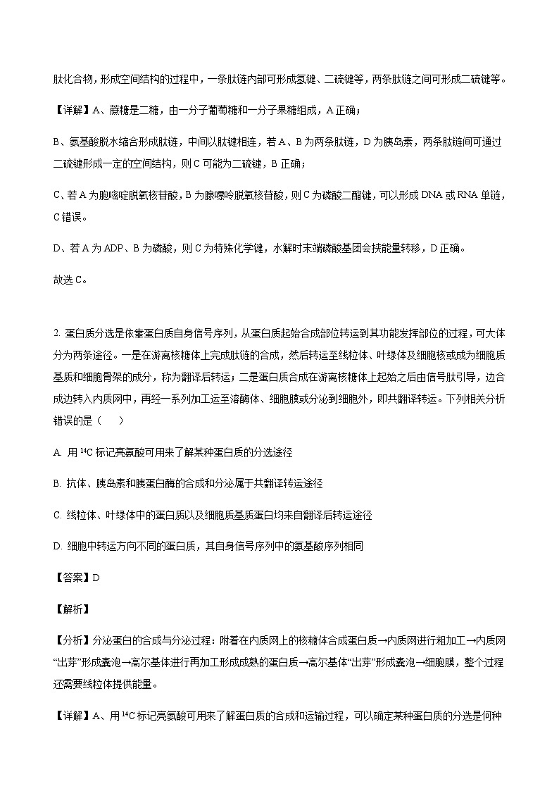 2024届山东省实验中学部分学校高三上学期10月联考生物word版含答案02