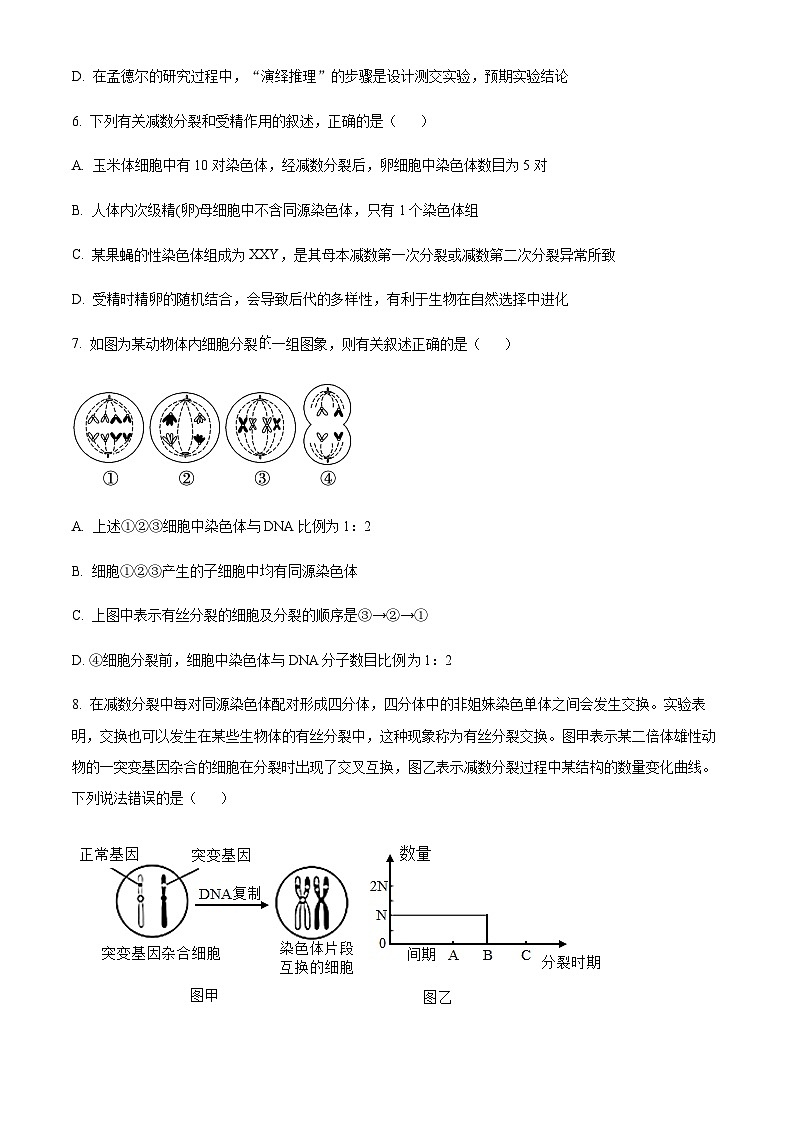辽宁省沈阳市新民市高级中学2023-2024学年高三上学期9月开学考试 生物第3页