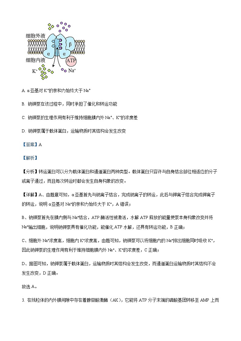 四川省成都市七中2023-2024学年高三上学期入学考试理综生物试题含解析02