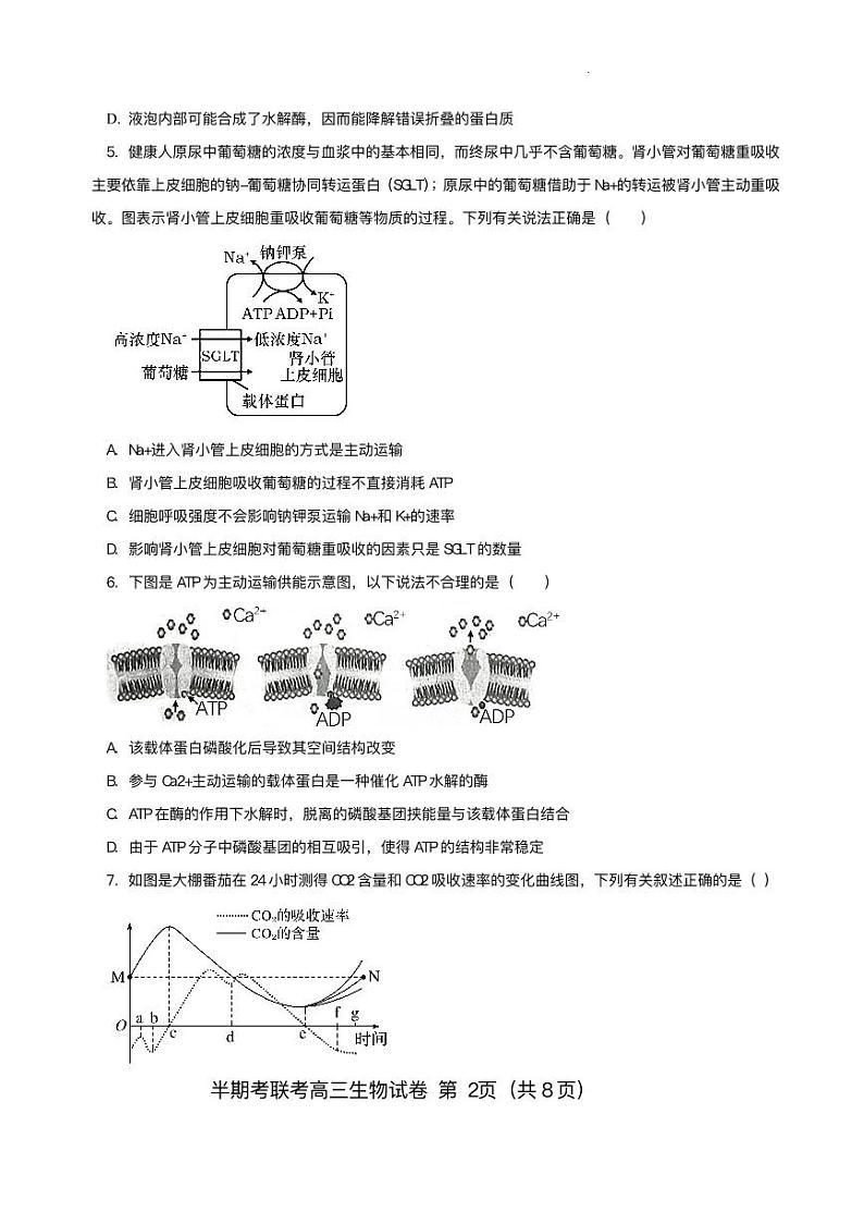 2023-2024学年福建省龙岩市一级校高三上学期半期考试生物试题含答案02