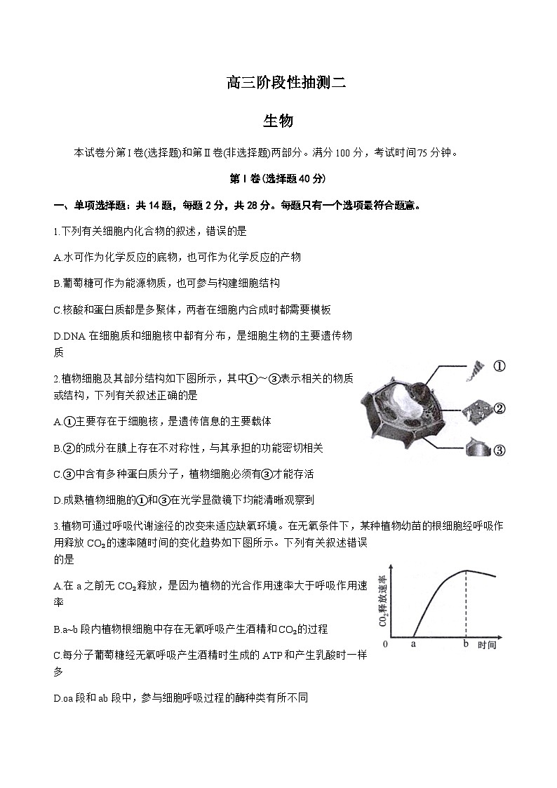 生物试题第1页