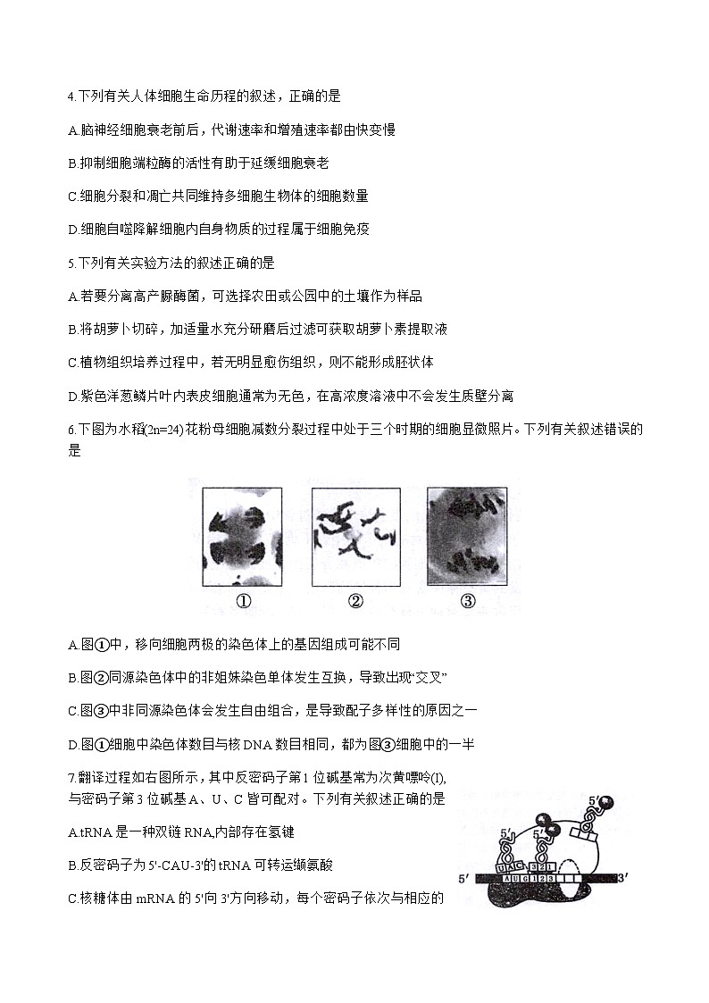 生物试题第2页