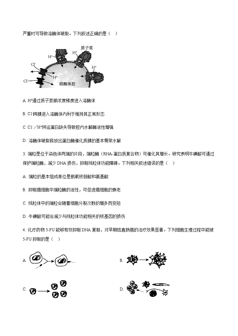 2023-2024学年江苏省南通市海门中学高三上学期第一次调研考试生物word版含答案02