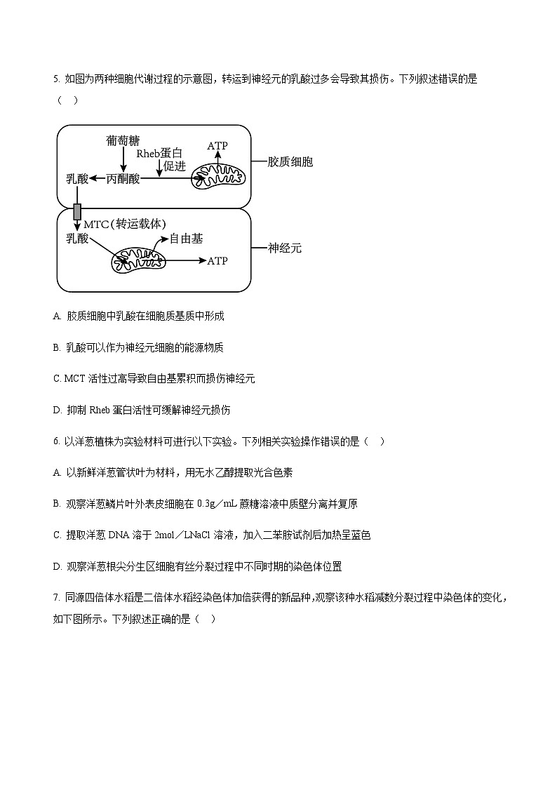 2023-2024学年江苏省南通市海门中学高三上学期第一次调研考试生物word版含答案03