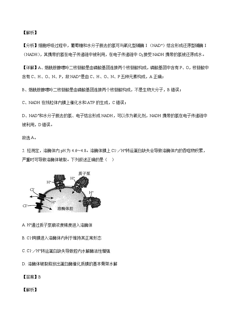 2023-2024学年江苏省南通市海门中学高三上学期第一次调研考试生物word版含答案02