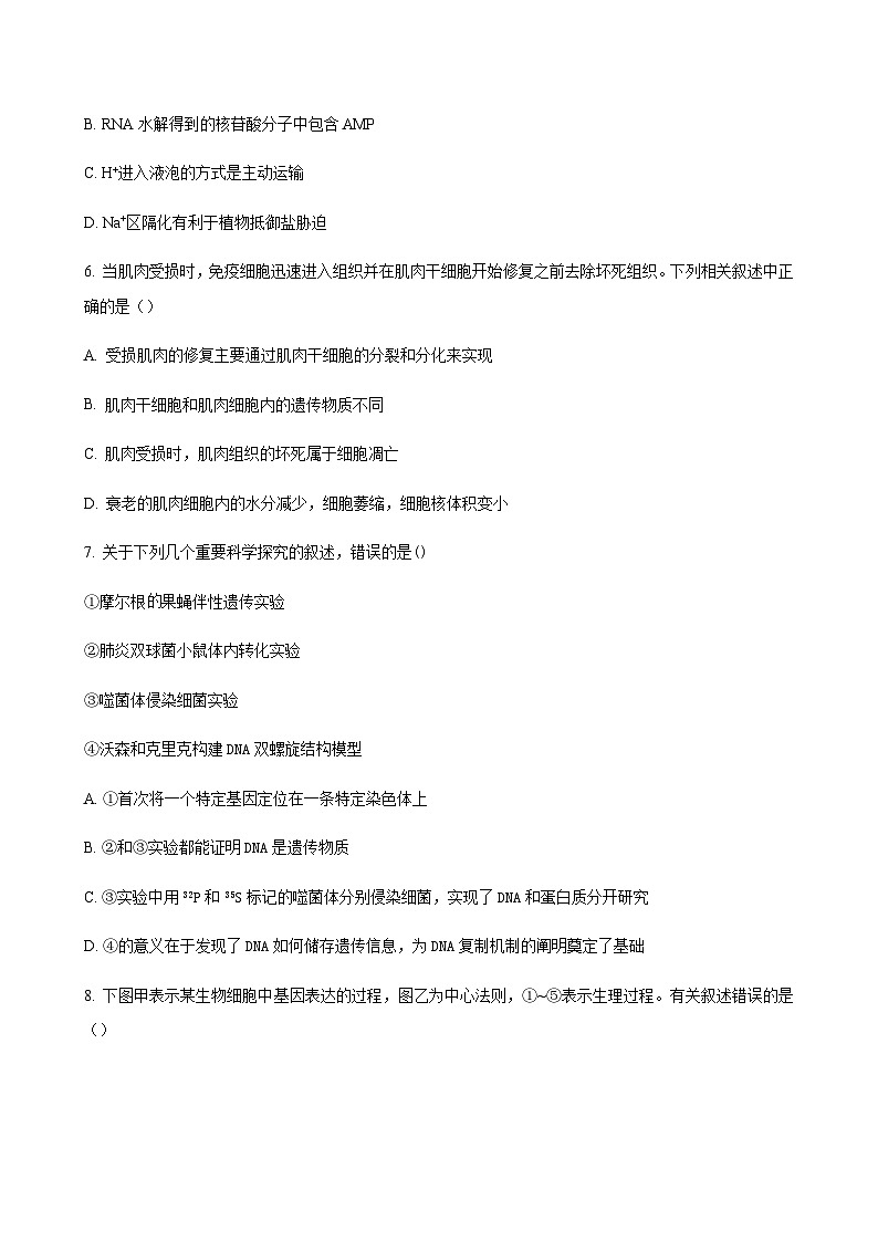 生物试题第3页