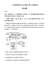 2024届山东省实验中学高三上学期第二次诊断考试生物试题含答案