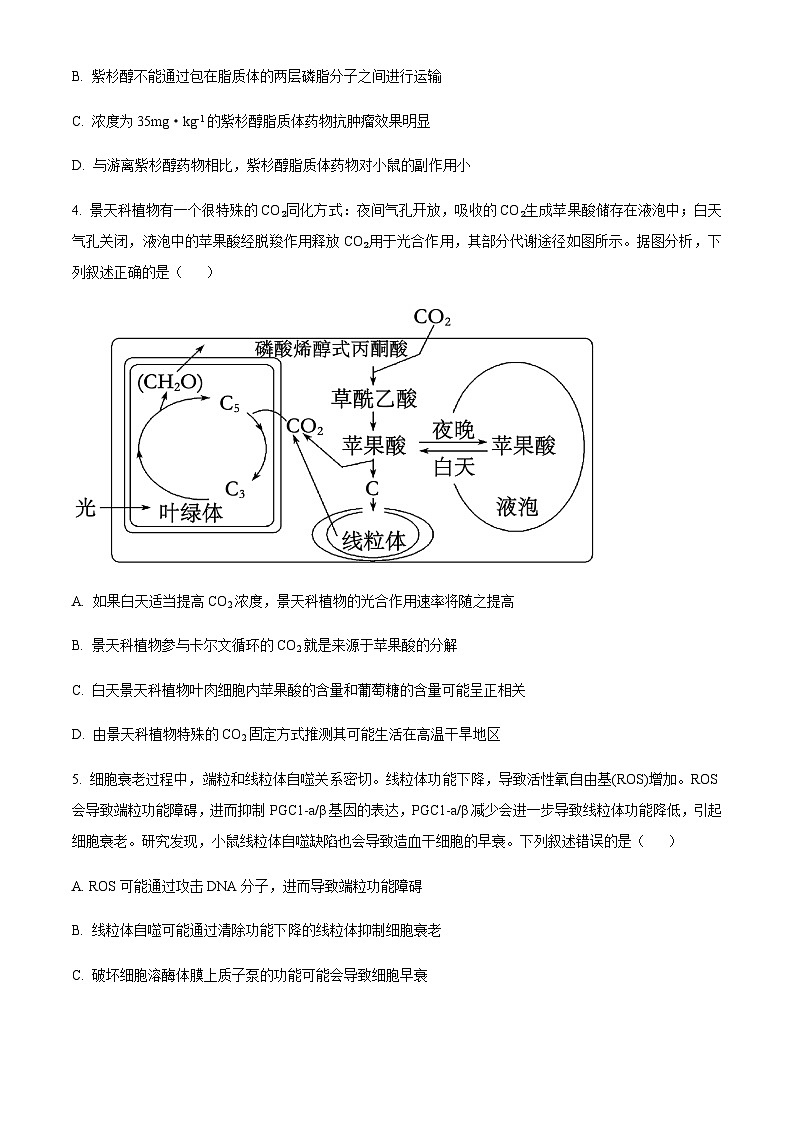 2024届山东省实验中学高三上学期第二次诊断考试生物试题含答案第3页