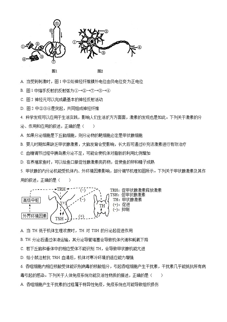 河北省承德市重点高中联谊校2023-2024学年高二上学期12月联考生物试题（Word版附解析）第2页