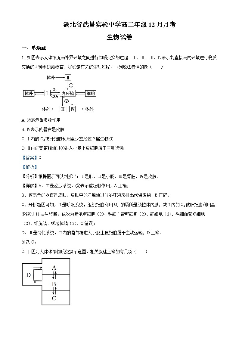 湖北省武昌实验中学2023-2024学年高二上学期12月月考生物试题（Word版附解析）第1页