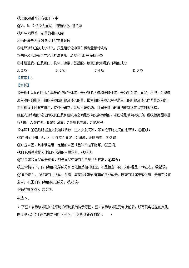 湖北省武昌实验中学2023-2024学年高二上学期12月月考生物试题（Word版附解析）第2页