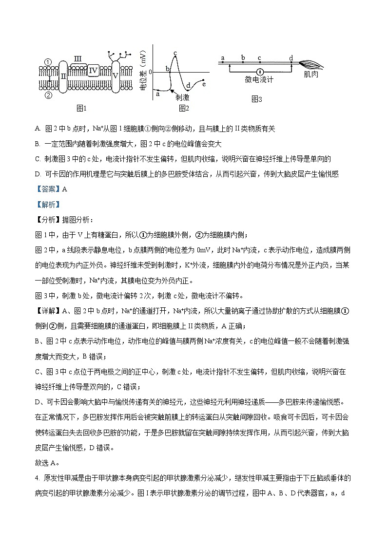 湖北省武昌实验中学2023-2024学年高二上学期12月月考生物试题（Word版附解析）第3页