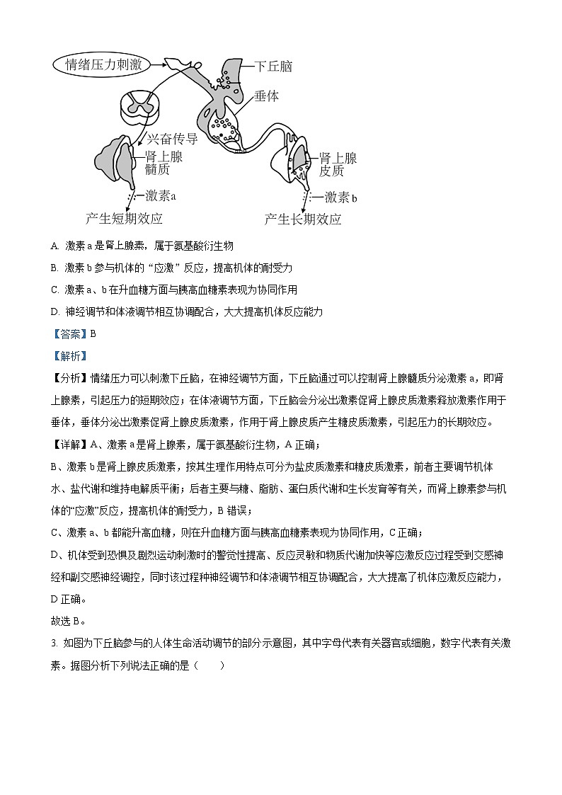 湖北省武汉市武钢三中2023-2024学年高二上学期12月考试生物试题（Word版附解析）02