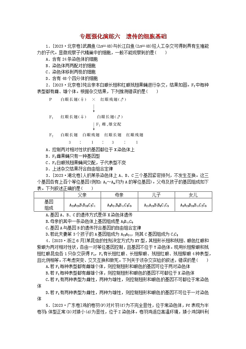 统考版2024届高考生物二轮专项分层特训卷第一部分专题强化演练六遗传的细胞基础（附解析）第1页