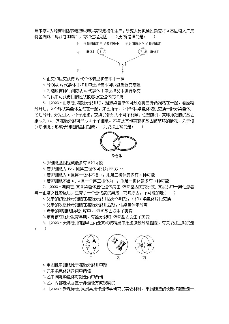 统考版2024届高考生物二轮专项分层特训卷第一部分专题强化演练六遗传的细胞基础（附解析）第2页