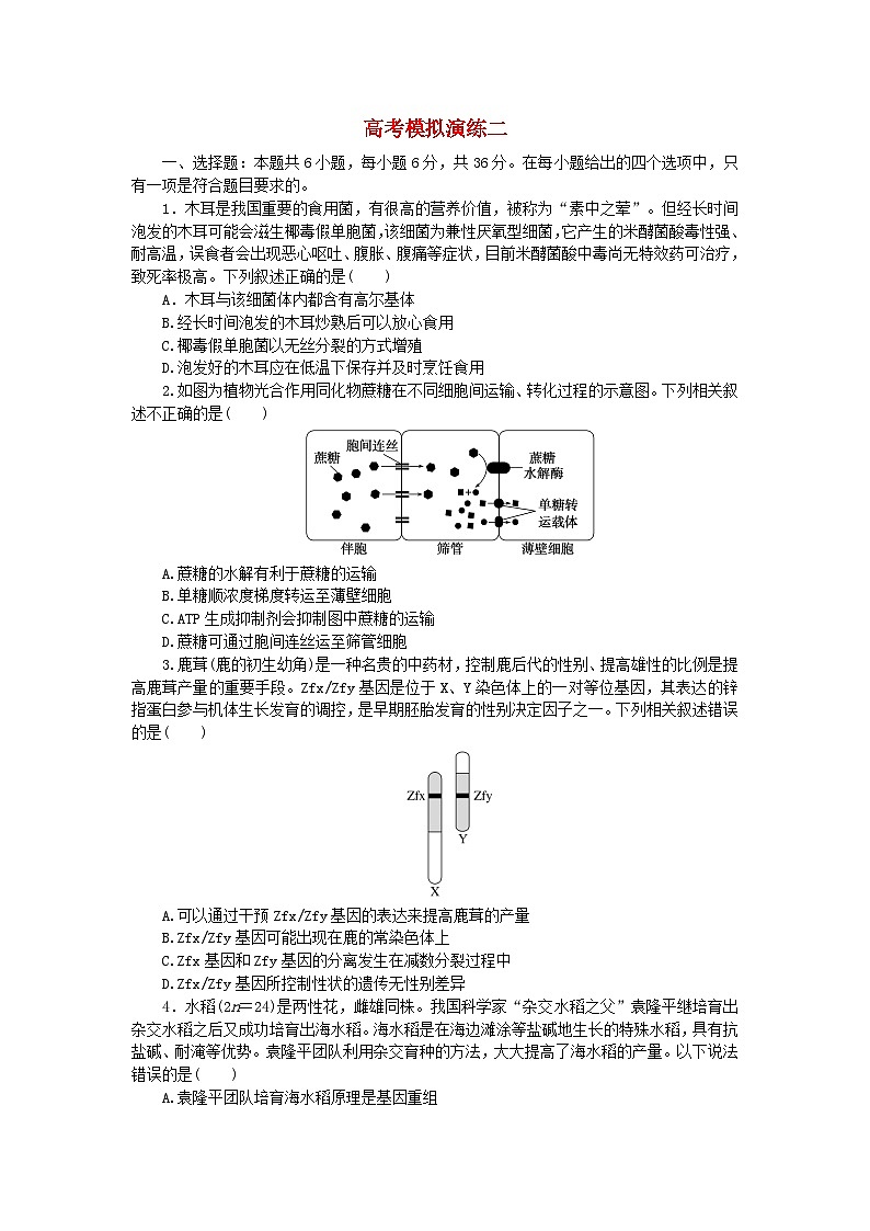 统考版2024届高考生物二轮专项分层特训卷第二部分高考模拟演练二（附解析）第1页