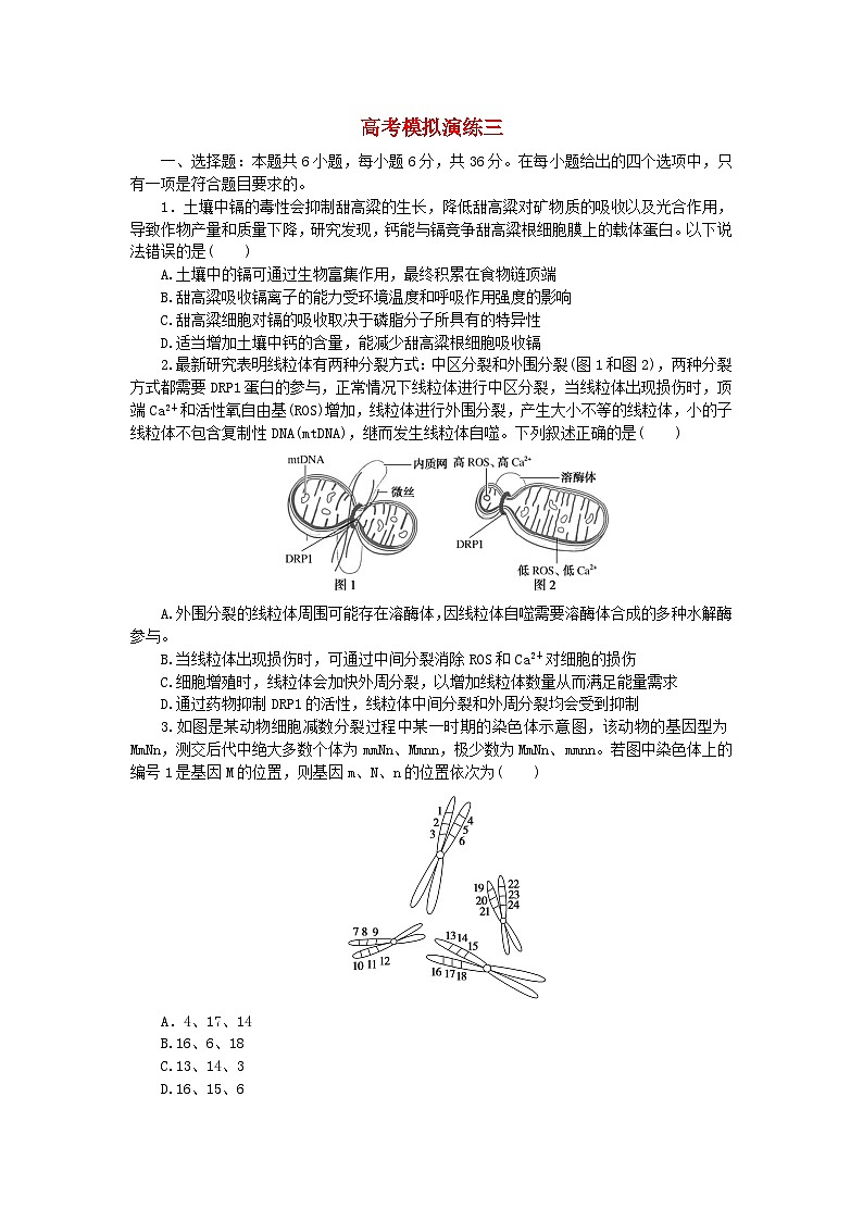 统考版2024届高考生物二轮专项分层特训卷第二部分高考模拟演练三（附解析）第1页