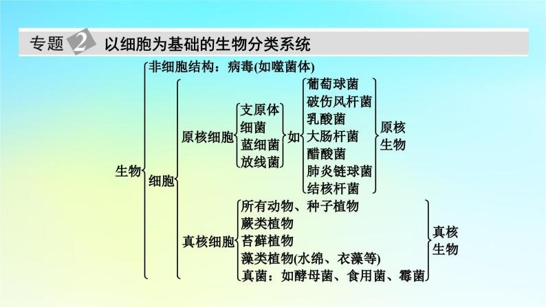 新教材2024版高中生物第1章走近细胞章末总结课件新人教版必修108