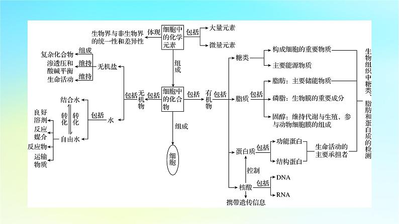 新教材2024版高中生物第2章组成细胞的分子章末总结课件新人教版必修103