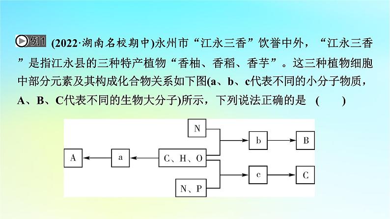 新教材2024版高中生物第2章组成细胞的分子章末总结课件新人教版必修106