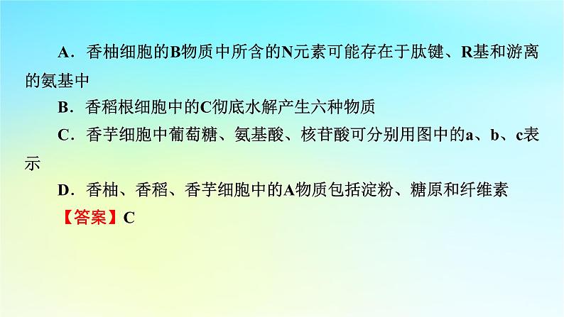 新教材2024版高中生物第2章组成细胞的分子章末总结课件新人教版必修107