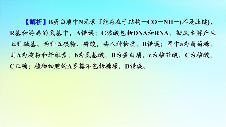 新教材2024版高中生物第2章组成细胞的分子章末总结课件新人教版必修108