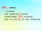 新教材2024版高中生物第2章组成细胞的分子第2节细胞中的无机物课件新人教版必修1