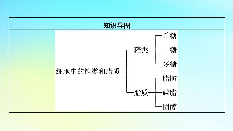 新教材2024版高中生物第2章组成细胞的分子第3节细胞中的糖类和脂质课件新人教版必修103