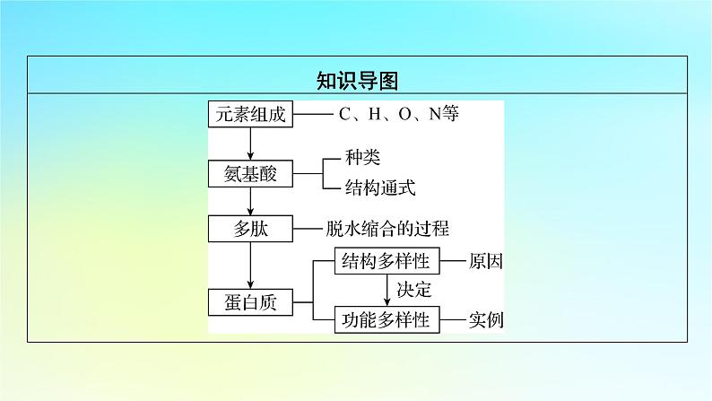 新教材2024版高中生物第2章组成细胞的分子第4节蛋白质是生命活动的主要承担者课件新人教版必修103