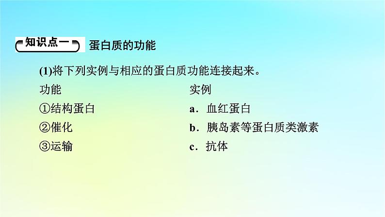 新教材2024版高中生物第2章组成细胞的分子第4节蛋白质是生命活动的主要承担者课件新人教版必修105