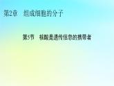 新教材2024版高中生物第2章组成细胞的分子第5节核酸是遗传信息的携带者课件新人教版必修1