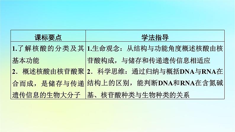 新教材2024版高中生物第2章组成细胞的分子第5节核酸是遗传信息的携带者课件新人教版必修102