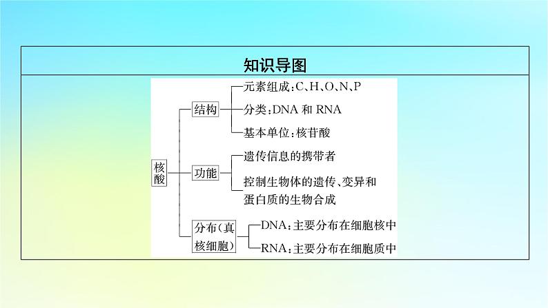 新教材2024版高中生物第2章组成细胞的分子第5节核酸是遗传信息的携带者课件新人教版必修103