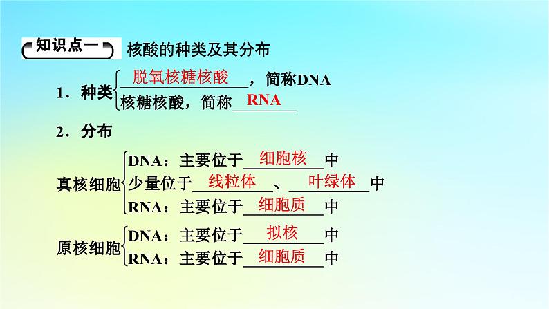 新教材2024版高中生物第2章组成细胞的分子第5节核酸是遗传信息的携带者课件新人教版必修105