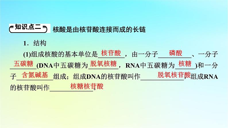 新教材2024版高中生物第2章组成细胞的分子第5节核酸是遗传信息的携带者课件新人教版必修108