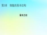 新教材2024版高中生物第3章细胞的基本结构章末总结课件新人教版必修1