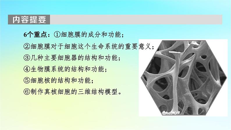 新教材2024版高中生物第3章细胞的基本结构第1节细胞膜的结构和功能课件新人教版必修1第4页