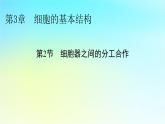 新教材2024版高中生物第3章细胞的基本结构第2节细胞器之间的分工合作课件新人教版必修1