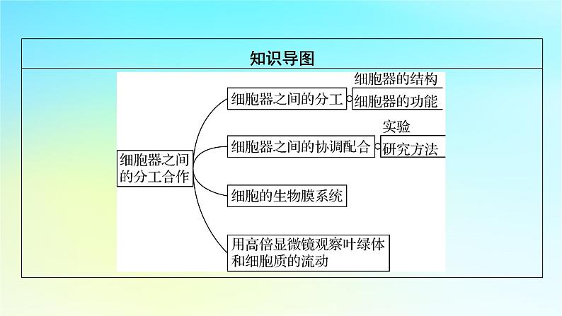 新教材2024版高中生物第3章细胞的基本结构第2节细胞器之间的分工合作课件新人教版必修103