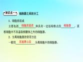 新教材2024版高中生物第3章细胞的基本结构第2节细胞器之间的分工合作课件新人教版必修1