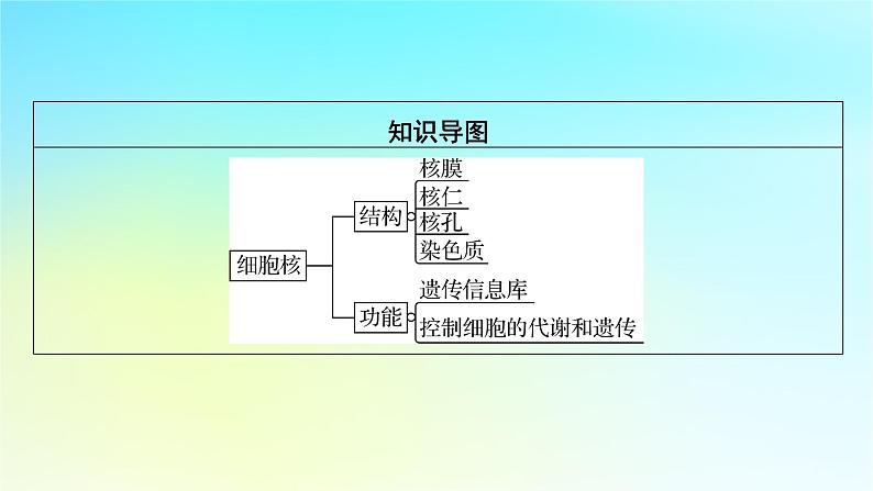 新教材2024版高中生物第3章细胞的基本结构第3节细胞核的结构和功能课件新人教版必修1第3页