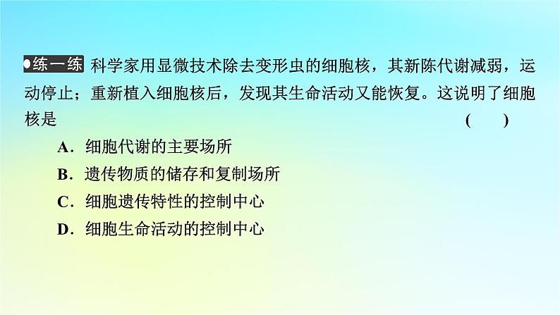 新教材2024版高中生物第3章细胞的基本结构第3节细胞核的结构和功能课件新人教版必修1第8页