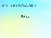 新教材2024版高中生物第4章细胞的物质输入和输出章末总结课件新人教版必修1