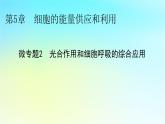 新教材2024版高中生物第5章细胞的能量供应和利用微专题2光合作用和细胞呼吸的综合应用课件新人教版必修1